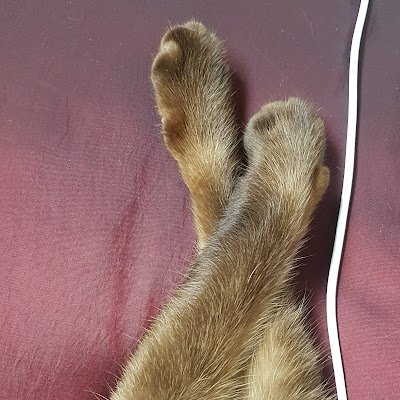 ju12891971's profile picture. 