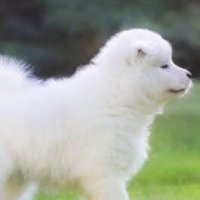 mofunosuke | AImate.life代表 (@mofunosuke2) 's Twitter Profile