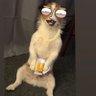 jamesCo20281627's profile picture. Live for the day