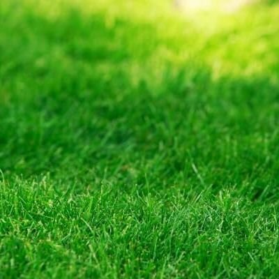 https://t.co/tInP6spWJQ←ペルソナ垢はこっち
無言フォロー失礼します。中二病をこじらせた雑食の芝です。