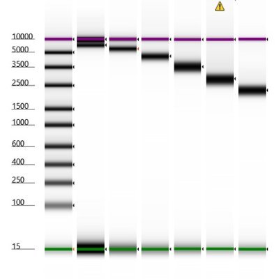 Quadram Core Sequencing Facility based in Norwich, Norfolk, UK.