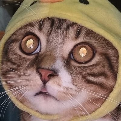 Y.さんのプロフィール画像