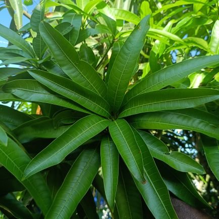 LeeKuma25977418's profile picture. 🔥🔥🔥🔥🔥🔥🔥🔥🔥🔥🔥🔥🔥🔥🔥🔥🔥🔥🔥🔥🔥🌾🌾🌾🌾🌾🌾🌾🌾🌾🌾🌾🌾🌾🌾🌾🌾🌟🌟🌟🌟🌟🌟🌟🌟🌟🌟🌟🦣🦣🦣🦣🦣🦣🦣🦣🦣🦣🦣🦣🦣🦣🦣🦣🦣🦣🦣🦣💰💰💰💰💰💰👍👍👍👍👍