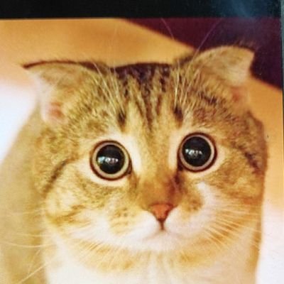 haruページ(≧▽≦) Haru on X