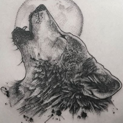 KarmelkowyKuc's profile picture. Nie zesraj się