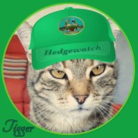 Tigger Esquire (@esquiretigger) 's Twitter Profile