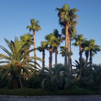 웁스 (@jota77se) 's Twitter Profile