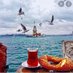 Hayatkısa anı yaşa& (@zehraafatma34) Twitter profile photo Hayatkısa anı yaşa& (@zehraafatma34) Twitter profile photo