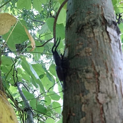 MTTJ4000's profile picture. 