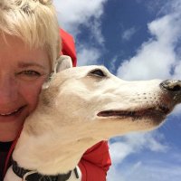 Caroline Marwood (@whippetmum) 's Twitter Profile