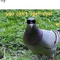 peanisfw (@peanisfw) 's Twitter Profile