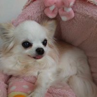 マリア (@bhwptr6ohpxaill) 's Twitter Profile Photo