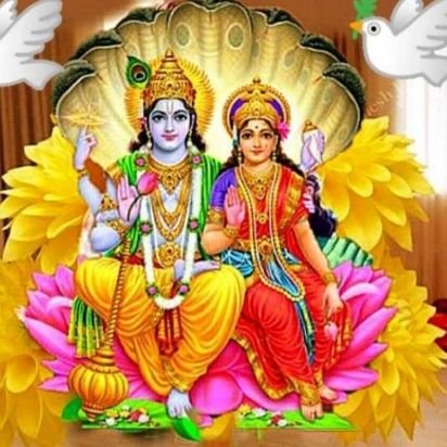 ShitalAcharya2's profile picture. 