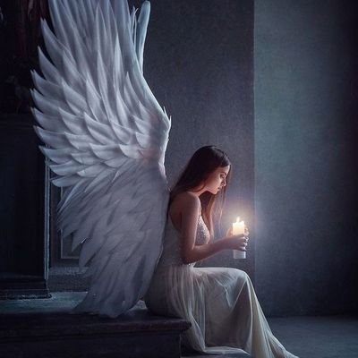 FalcNova's profile picture. 🌙Tarot yorumcusu 
 🌒Bol ritüeller içeren sayfama hoşgeldiniz
Bilgi almak ve seanslar için DM den yazabilirsiniz