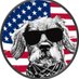 American Mutz πΈ (@americanmutz) Twitter profile photo American Mutz πΈ (@americanmutz) Twitter profile photo