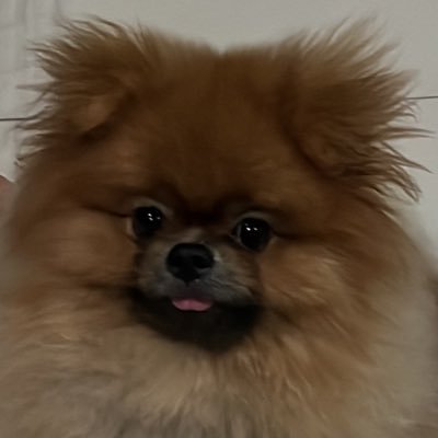 jejomilo's profile picture. 