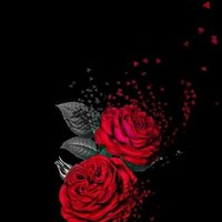 abass (@abass49481239) Twitter profile photo