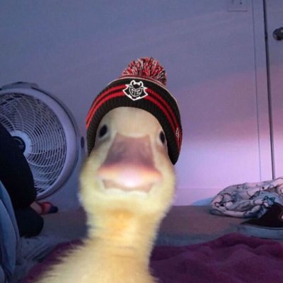 jonneballonge's profile picture. #G2ARMY