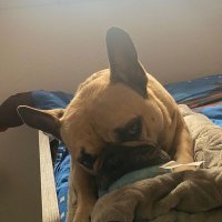 JuanililloVAL (@juanililloval) 's Twitter Profile