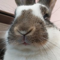 Princess Sephiroth ๐ (@ziggywearshats) 's Twitter Profile Photo Princess Sephiroth ๐ (@ziggywearshats) 's Twitter Profile Photo