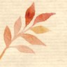 HiraHiraHiiragi's profile picture. 成人済20↑ 社会人♀。86/忍たま/TOP4/ノゲノラ/ハイキュー/人狼J/商業BL  不慣れなことも多いですが宜しくお願いします。

お取引は郵送もしくは都内手渡しがメイン。詳細はDMにて。お取引終了後は個人情報削除します。