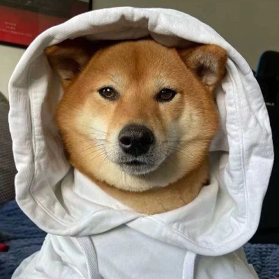 openjs1's profile picture. 