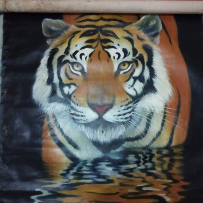 RudiSaprudin's profile picture. Perindu dan Pecinta Putra MisBo