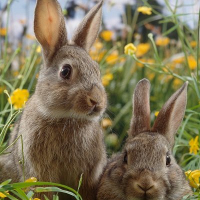 Kayden_ssminnow's profile picture. I like all kinds of news.  But i like sports sometimes.  Reporting for Hawai'i.   I'm one of the people who likes to bring up truth. That's me.