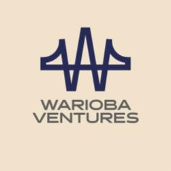 wariobaventures