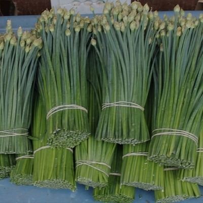 XBANK_US's profile picture. 19451024.eth@mail3.me
Beautiful world