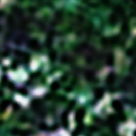 Tsukubi_Hitomi's profile picture. 春日すら 田に立ち疲る 君は哀しも 若草の 妻無き君が 田に立ち疲る (万葉集 1285番歌) みなさんorbot——完全無料の匿名化アプリを使いましょ。（徹底すれば）簡単に通信をtor化出来てアドレス秘匿出来るよ。飽迄身を守る手段だから大丈夫よ、ほら。後レイ視