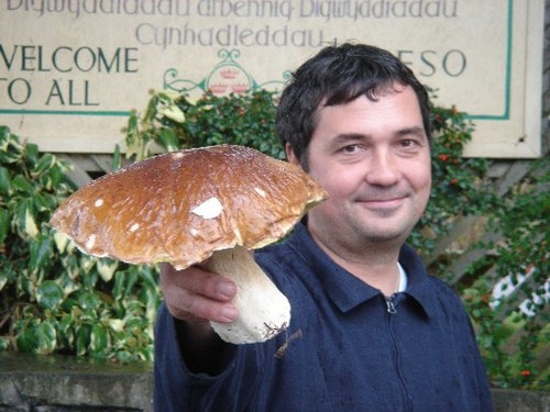 Environmental writer and fungi fanatic based in Mid-Wales