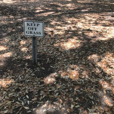 offendthelibs's profile picture. Christian white male looking to exercise my privilege in order to make leftist heads explode. Typos are free of charge.