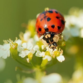 cddnys152's profile picture. friends