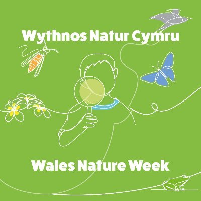 Nature is for All - So Get Connected! 
Mae Natur i Bawb - Felly Cysylltwch!