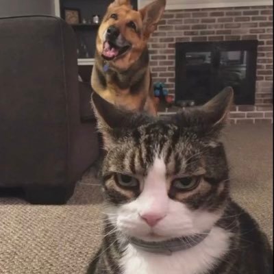 KrisPan1010's profile picture. 