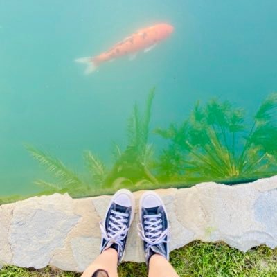 delsaccount's profile picture. 