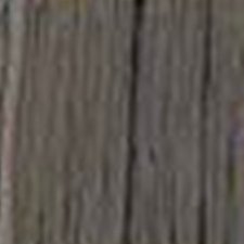 QuantorM's profile picture. 