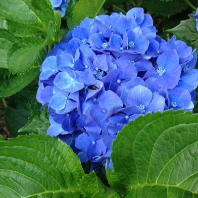 ksfinley2's profile picture. 