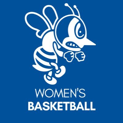 Official Twitter Page of St. Ambrose Women's Basketball🏀 Member of the Chicagoland Collegiate Athletic Conference #RollBees 🐝