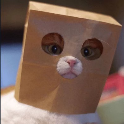 CatnipPirate's profile picture. Core Team member @ NFTMOZAIC, DRM@Unique Network, Eternally curious.