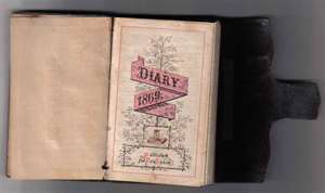 brainsandsherry@gmail.com
This is the Diary of a Witch.