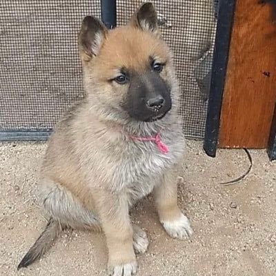 lanedewit4truth's profile picture. divorced,single, MAN, PATRIOT, straight, retired🇺🇸🇺🇸🇺🇸🇺🇸I love this country! I feel so blessed that GOD put me here. I see the evil upon us