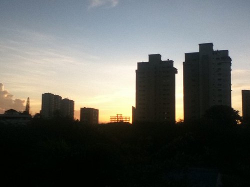 scattarephoto's profile picture. 