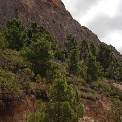 Unoquepasapora1's profile picture. 