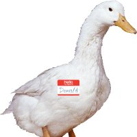 Certified Not Smart Person (@rbxcloud) 's Twitter Profile