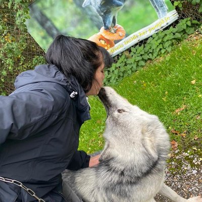 FaustaDimascio's profile picture. #Author #wolfhandler #birdsofprey #crazycatlady