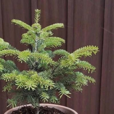 t92_haa's profile picture. アラサー夫婦( ´ ▽ ` ) 無言フォロー失礼します🙏 同じ境遇の方と繋がれたら嬉しいなぁ。