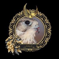 𝔸𝕃ـــــــ𝕊ــℚـℝ الصـــــقــــر (@a______m4) 's Twitter Profile Photo 𝔸𝕃ـــــــ𝕊ــℚـℝ الصـــــقــــر (@a______m4) 's Twitter Profile Photo