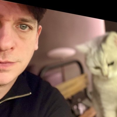 musique, musiques, chat